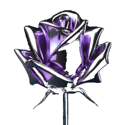 a purple rose